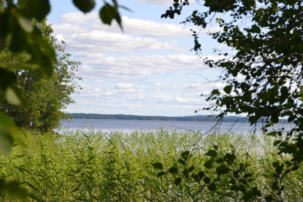Holiday Home Tuomarniemi Kokonvaara 객실 사진